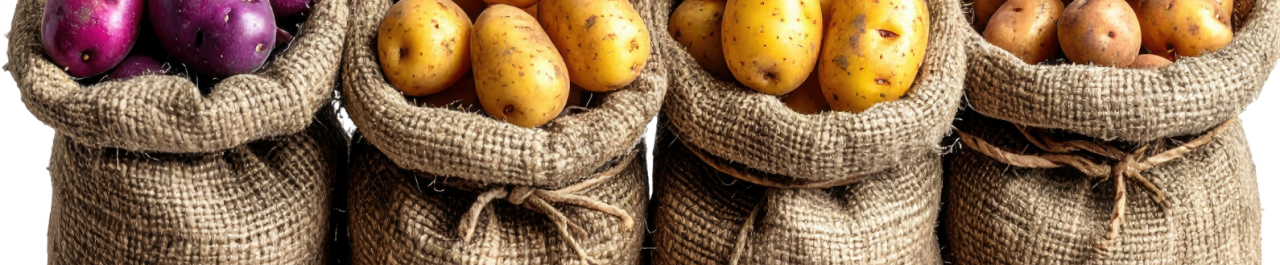 Çuval Ağzı Dikiş Makinası Yedek Parçaları ve Aksesuarları